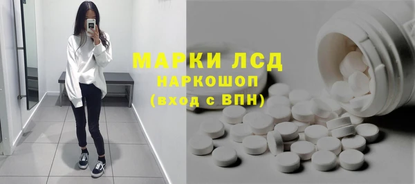 гидра Инсар