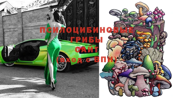 крисы Беломорск