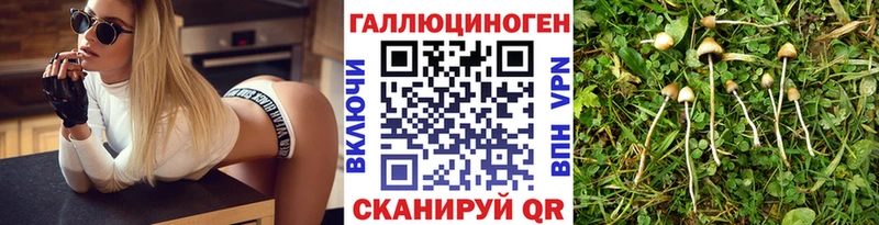 ОМГ ОМГ сайт  Гдов  Галлюциногенные грибы Magic Shrooms 